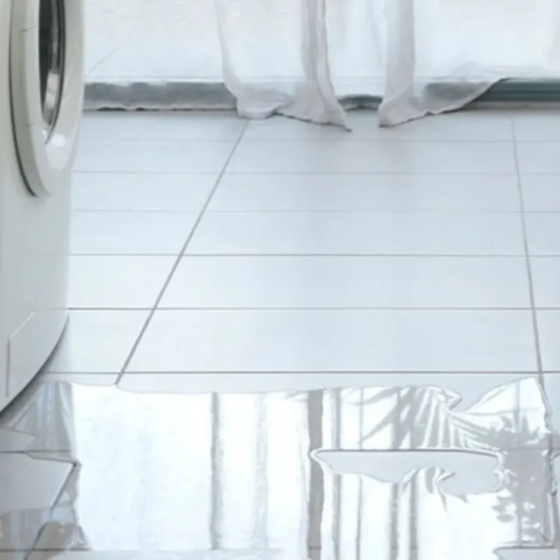 Appliance Leak Cleanup in Marina del Rey, CA